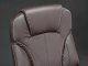 Sofotel EG-222 Ergonomic Leather Office Chair, Brown