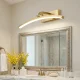 LED Vanity Mirror Light Wall Lamp 60 cm 7W Adjustable, Gold
