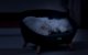 Petoneer Cozy Sofa Smart Thermo-Regulating Pet Bed