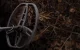 GARRETT Ace Apex 8.5x11 Raider Metal Detector with MS-3 Wireless Headphones