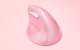 Wireless Vertical Mouse Delux M618Mini DB BT+2.4G 2400DPI (pink)