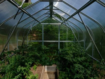 Greenhouse KLASIKA STANDART 2.5x2 m with Base and 6 mm Polycarbonate