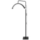 Newell Dianis LED Lamp, Black