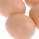 Dummy Egg for Hens, 1 Pcs, Brown