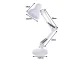 Adjustable Desk Lamp, White
