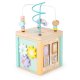 ECOTOYS Wooden Activity Cube with Shape Sorter and Bead Maze