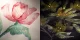 Arrtx 8 Colors Metallic Watercolor Solid Paints APW-001-M0108
