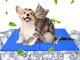 Waterproof Cooling Gel Mat for Dogs and Cats 50x40cm, Blue