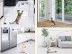 Interactive Cat Toy with Suction Cup, Feather Bird Teaser Wand