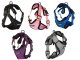 Pressure-Free Dog Harness with Leash, Size L