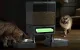 Oneisall PFD-002 Dual Automatic Pet Food Dispenser