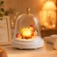 LED Night Light with Music and Campfire Motif