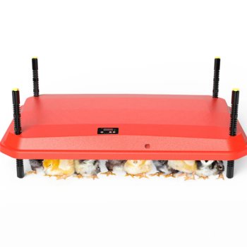 Chick Heating Plate 60x40 cm, 66W, Red