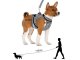 Soft Harness with Leash for Dogs and Cats, Size M, Grey