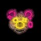 LED Neon Sign Punk Bear Art Light Forever Light FLA01, Pink & Yellow