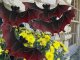 Halloween Bat Decoration, Set of 4, Brown-Black