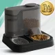 Automatic 2-in-1 Pet Feeder and Water Dispenser, Black