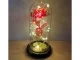 Enchanted Eternal Rose in Glass Dome with RGB LED Lights, Unique Gift for Her, Red