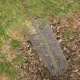 QUADRA 10 Plastic Mesh, 1x5m, 10x10 mm Mesh Size, Silver