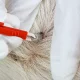 Tick Removal Tweezers for Dogs and Cats, 9 cm, Red