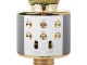 Wireless Karaoke Microphone with Bluetooth Speaker, Echo, and Voice Changer