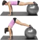 Blue Gymnastic and Rehabilitation Ball with Pump 65cm