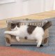 Cat Scratching Post Sofa