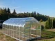 Greenhouse KLASIKA STANDART 20, 2.5x8 m, with Foundation and 6 mm Polycarbonate
