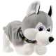 Interactive dog SMILE Gray Hasky
