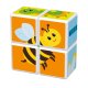 Magicube Printed Insects magnetic blocks + cards 7 pieces GEOMAG GEO-121