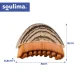 Soulima Dry Massage Brush for Face and Neck