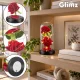 Glimz Eternal Rose in Glass Dome with LED Lights, 22 cm, Red