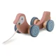 Wooden Pull Toy with Shape Sorter Parrot Nukido 785400