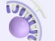 Anti-Cellulite Firming Body Massager Manual Folding Multifunctional Body Muscle Relaxer Roller for Hips Legs etc.,...