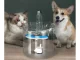 Automatic Pet Water Fountain for Cats and Dogs, 1.8L, Transparent