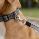 Retractable Dog Leash, Red, 5m Tape, up to 15kg