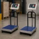 Electronic Platform Scale 50x40 cm, 300 kg, Silver/Blue