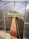 Greenhouse KLASIKA TUBE 3 x 10 m (30 m²), with Base and 6 mm Polycarbonate