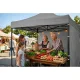Plonos Garden Pavilion with 3 Walls 3x3m, Grey