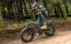 ENGWE EP-2 3.0 Boost 250W 20\" Folding Electric Bike, Black