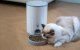 Petoneer Nutri Vision Mini Automatic Feeder Bowl Container Food Dispenser for Dogs Cats with Camera
