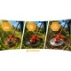 Humberg HM-616 Petrol Brushcutter Grass Trimmer 55cc + Oil