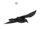 Flying Raven Bird Repellent