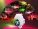 Bear-shaped LED Night Light and Star Projector with Remote Control, White