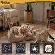 Dog and Cat Bed Purlov, 70 x 50 cm, with 2 Pillows, Beige