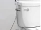 Bidet Spray Head with Push Button