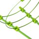 Plant Support Ring 60cm for Peonies and Garden Flowers