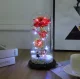Eternal Rose in Glass Dome with RGB LED Light and Figurine