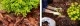 Black Agrofilm for Mulching 50 g/m², 1.6 x 100 m