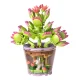 Iso Trade Building Blocks - Flowers, 172 pieces